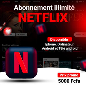 Abonnement illimité Netflix